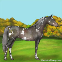 Horse Color:Platinum White Spotted Liver Chestnut 