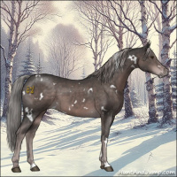 Horse Color:Platinum White Spotted Liver Chestnut 