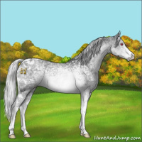 Horse Color:Silver Grullo Chinchilla Ice Tobiano 
