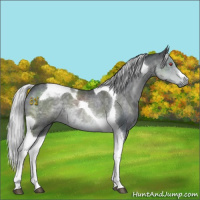 Horse Color:Silver Black Chinchilla Tobiano 