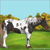 Horse Color:Liver Chestnut Tobiano 