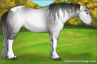 Horse Color:Gray Brown Tobiano Varnish Rabicano 