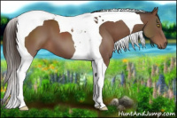 Horse Color:Liver Chestnut Tobiano