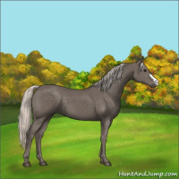 Horse Color:Silver Black 