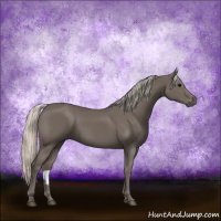 Horse Color:Silver Black 