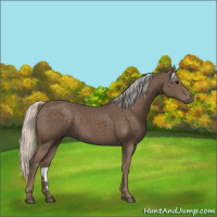 Horse Color:Silver Black 