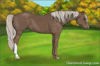 Horse Color:Silver Black 