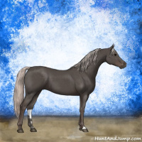 Horse Color:Silver Black 