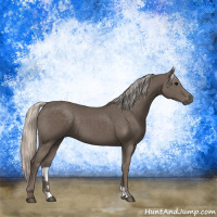 Horse Color:Silver Black 