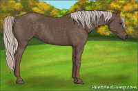 Horse Color:Silver Black 