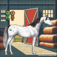 Horse Color:Grullo Splash Appaloosa 