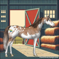 Horse Color:Bay Splash Appaloosa 