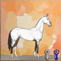 Horse Color:Brown Dun Appaloosa 