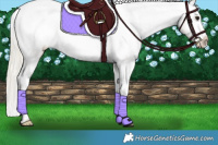 Horse Color:White Spotted Silver Smoky Grullo Snowcap Rabicano 