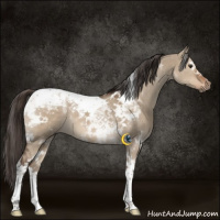 Horse Color:White Spotted Liver Red Dun Tobiano 