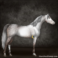 Horse Color:Gray White Spotted Liver Chestnut Ice Sabino 