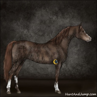Horse Color:White Spotted Liver Chestnut Ice 