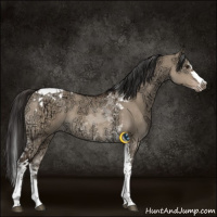 Horse Color:Liver Red Dun Ice Splash Tobiano 