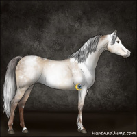 Horse Color:Gray Liver Red Dun Tobiano  and Gray White Spotted Liver Red Dun 