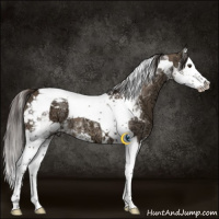 Horse Color:Liver Red Dun Ice Splash Tobiano 