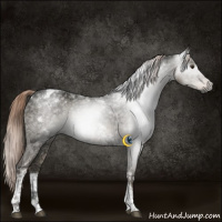 Horse Color:Gray Liver Red Dun Ice Tobiano Rabicano