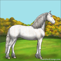 Horse Color:Perlino Sabino  and Perlino Sabino 
