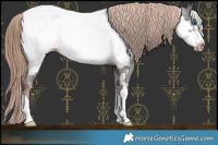 Horse Color:Liver Chestnut Frame Appaloosa