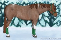 Horse Color:Red Roan Tobiano Rabicano