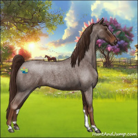 Horse Color:Liver Red Roan 
