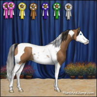 Horse Color:Bay Splash Tobiano Rabicano