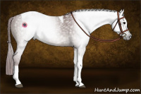 Horse Color:Gray Chocolate Grullo Sabino Tobiano Rabicano Brindle