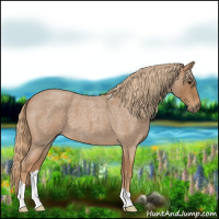 Horse Color:Red Roan 