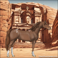 Horse Color:Red Roan Appaloosa 