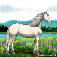 Horse Color:Palomino Roan Pearl 