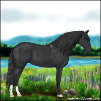Horse Color:Black 