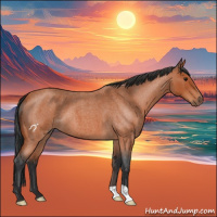 Horse Color:Bay Roan 