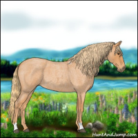 Horse Color:Red Roan 