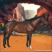 Horse Color:Brown Roan