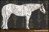 Horse Color:Silver Blue Roan Splash  and Gray Silver Black Sabino Splash Tobiano 