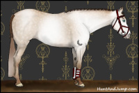 Horse Color:Gray Smoky Black Pearl