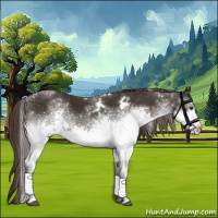 Horse Color:White Spotted Liver Chestnut 