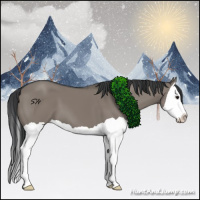 Horse Color:Grullo Splash 