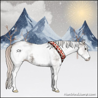 Horse Color:White Spotted Silver Black 
