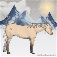 Horse Color:Silver Bay Dun 