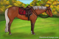 Horse Color:Silver Bay 