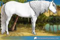 Horse Color:Sable Champagne Tobiano Frame Appaloosa Rabicano  and Gray Gold Cream Champagne Dun Splash Tobiano Frame 