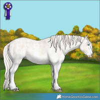 Horse Color:Perlino Sabino  and Cremello Sabino 