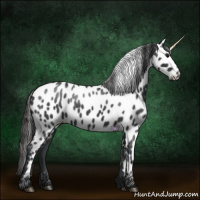 Horse Color:Blue Roan Near Leopard 