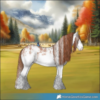 Horse Color:White Spotted Chestnut Splash 