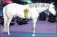 Horse Color:Silver Buckskin Sabino Splash Near Leopard